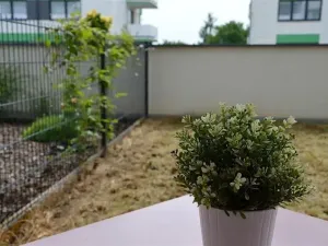 Pronájem bytu 1+kk, Olomouc, Loudova, 37 m2
