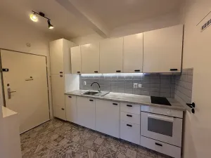 Pronájem bytu 1+kk, Praha - Nusle, Sdružení, 39 m2