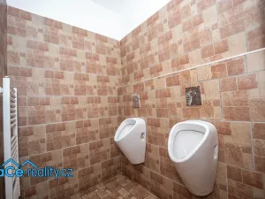 Prodej komerční nemovitosti, Slatina nad Zdobnicí, 572 m2