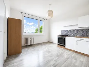 Prodej bytu 1+1, Ústí nad Labem - Severní Terasa, Meruňková, 35 m2