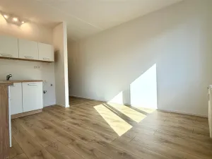 Pronájem bytu 1+kk, Cheb, Nová, 20 m2