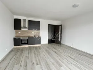 Pronájem bytu 1+kk, Plzeň - Bolevec, Studentská, 37 m2