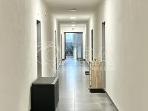 Pronájem bytu 1+kk, Plzeň - Bolevec, Studentská, 37 m2