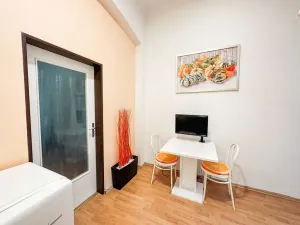 Pronájem bytu 1+1, Praha - Žižkov, Jeronýmova, 30 m2