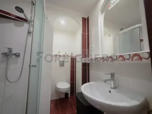 Prodej bytu 2+1, Olomouc, Družební, 43 m2