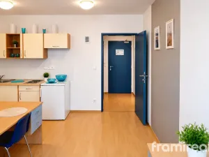 Prodej bytu 1+kk, Brno, Cejl, 23 m2