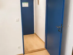 Prodej bytu 1+kk, Brno, Cejl, 23 m2