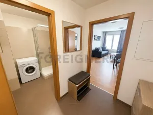 Pronájem bytu 2+kk, Plzeň, Divadelní, 55 m2