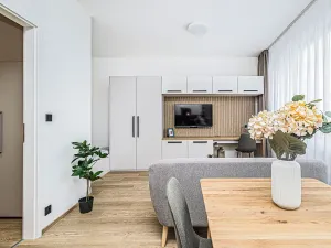 Pronájem bytu 1+kk, Praha - Karlín, Pobřežní, 31 m2