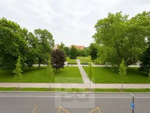 Prodej bytu 2+kk, Ostrava, Sadová, 97 m2