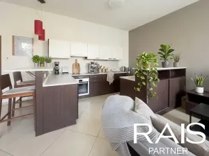 Prodej bytu 2+kk, Brno, Vranovská, 80 m2