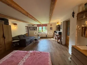 Prodej chalupy, Radonice - Ždov, 180 m2