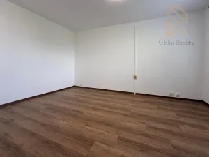 Pronájem bytu 1+1, Louny, Březinova, 37 m2