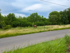 Prodej pozemku pro bydlení, Dobřichov, 1117 m2