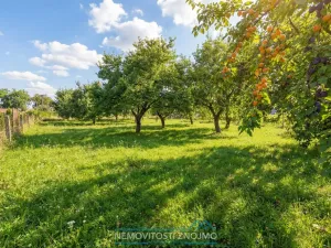 Prodej pozemku pro bydlení, Pavlov, Družstevní, 1670 m2