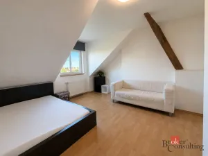 Prodej bytu 1+1, Plzeň - Východní Předměstí, Francouzská třída, 39 m2