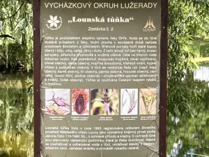 Prodej zahrady, Louny, 392 m2