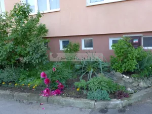 Prodej bytu 1+1, Plzeň - Severní Předměstí, Sokolovská, 40 m2