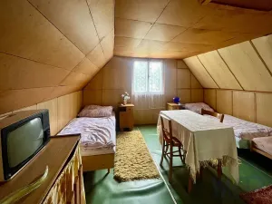 Prodej chaty, Jihlava, 35 m2