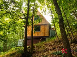 Prodej chaty, Hromnice - Planá, 58 m2