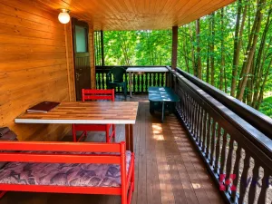 Prodej chaty, Hromnice - Planá, 58 m2
