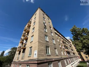 Prodej bytu 1+1, Most, tř. Budovatelů, 35 m2