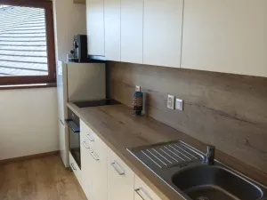 Pronájem bytu 2+kk, Plzeň - Skvrňany, Domažlická, 35 m2