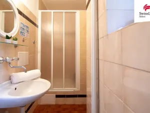 Pronájem komerční nemovitosti, Plzeň, Borská, 15 m2
