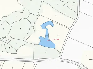 Dražba pozemku, Kadov, 2951 m2