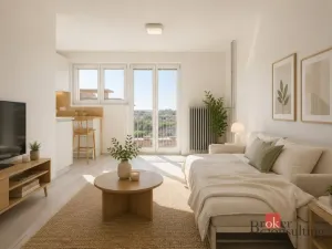 Prodej bytu 1+kk, Příbram - Příbram I, Riegrova, 23 m2