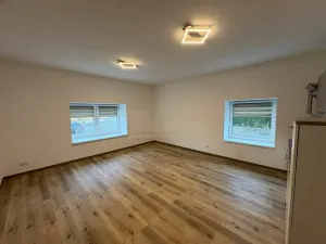 Pronájem bytu 1+kk, Doloplazy, 46 m2