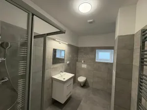 Pronájem bytu 1+kk, Doloplazy, 46 m2