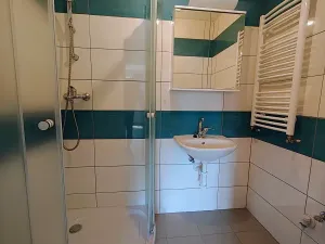 Pronájem bytu 1+1, České Budějovice, 44 m2