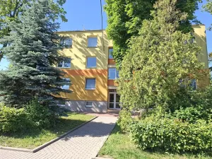 Prodej bytu 3+1, Veselí nad Moravou, Tyršova, 75 m2