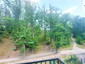 Pronájem bytu 3+kk, Cheb, Břehnická, 90 m2