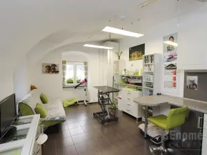 Prodej bytu 1+kk, Praha - Ruzyně, Drnovská, 27 m2