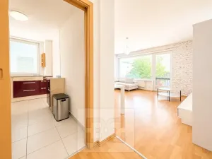 Pronájem bytu 3+kk, Brno, U Leskavy, 94 m2