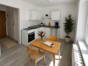 Pronájem bytu 1+1, Litvínov, Podkrušnohorská, 30 m2
