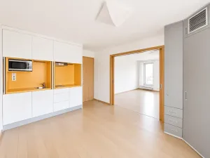 Pronájem bytu 5+kk, Praha - Smíchov, U Dívčích hradů, 202 m2