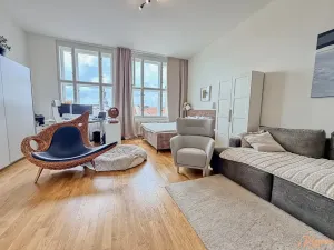 Pronájem bytu 1+kk, Praha - Staré Město, Národní, 67 m2