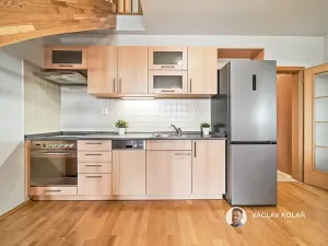 Prodej bytu 3+kk, Vítkovice, 96 m2