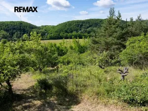 Prodej sadu/vinice, Moravské Bránice, 2403 m2