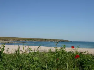 Prodej bytu 2+kk, Carevo, Bulharsko, 48 m2