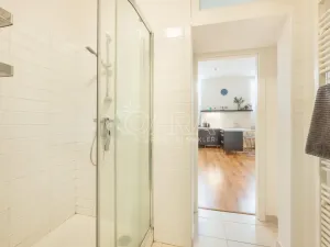 Pronájem bytu 1+kk, Praha - Vinohrady, Mánesova, 53 m2