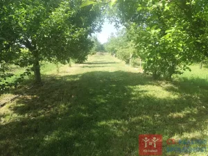 Prodej pozemku pro bydlení, Hnanice, 3609 m2