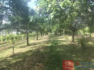 Prodej pozemku pro bydlení, Hnanice, 3609 m2