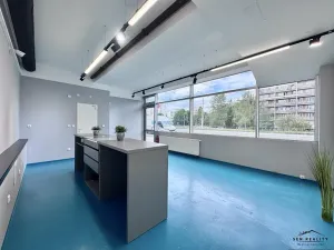 Pronájem obchodního prostoru, Pardubice, Bělehradská, 35 m2