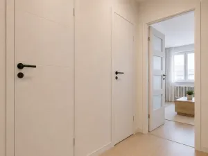Prodej bytu 1+kk, Ostrava, Francouzská, 30 m2