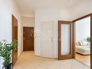 Prodej bytu 2+1, Praha - Žižkov, Biskupcova, 82 m2