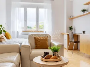 Prodej bytu 2+1, Praha - Žižkov, Biskupcova, 82 m2